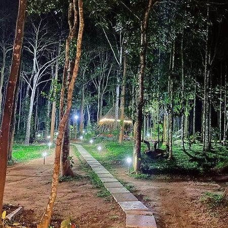 Tall Trees - Modern Forest Villa In Wayanad Салтэн-Батери Экстерьер фото