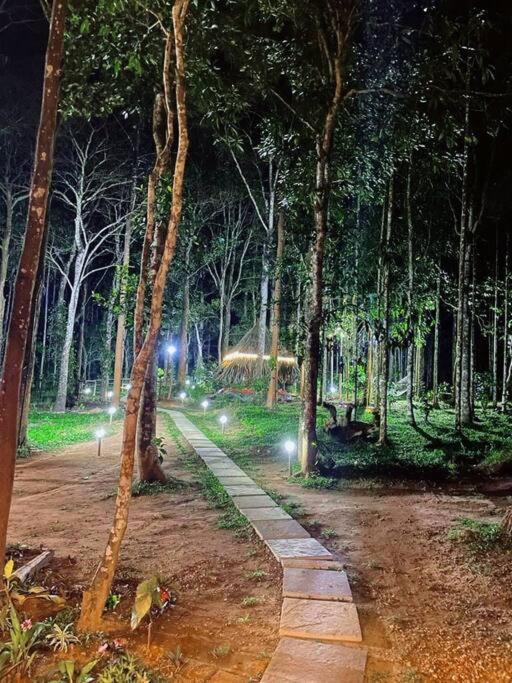 Tall Trees - Modern Forest Villa In Wayanad Салтэн-Батери Экстерьер фото
