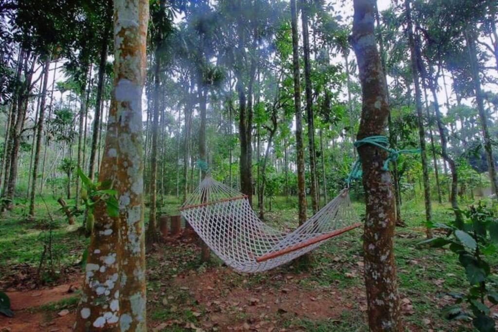 Tall Trees - Modern Forest Villa In Wayanad Салтэн-Батери Экстерьер фото