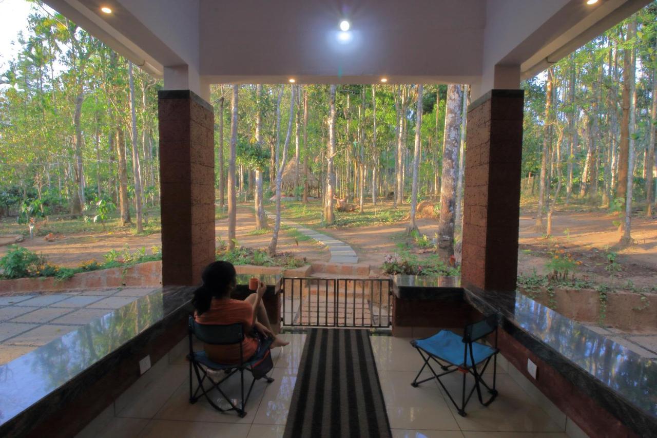 Tall Trees - Modern Forest Villa In Wayanad Салтэн-Батери Экстерьер фото