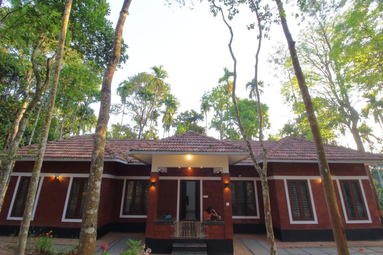 Tall Trees - Modern Forest Villa In Wayanad Салтэн-Батери Экстерьер фото
