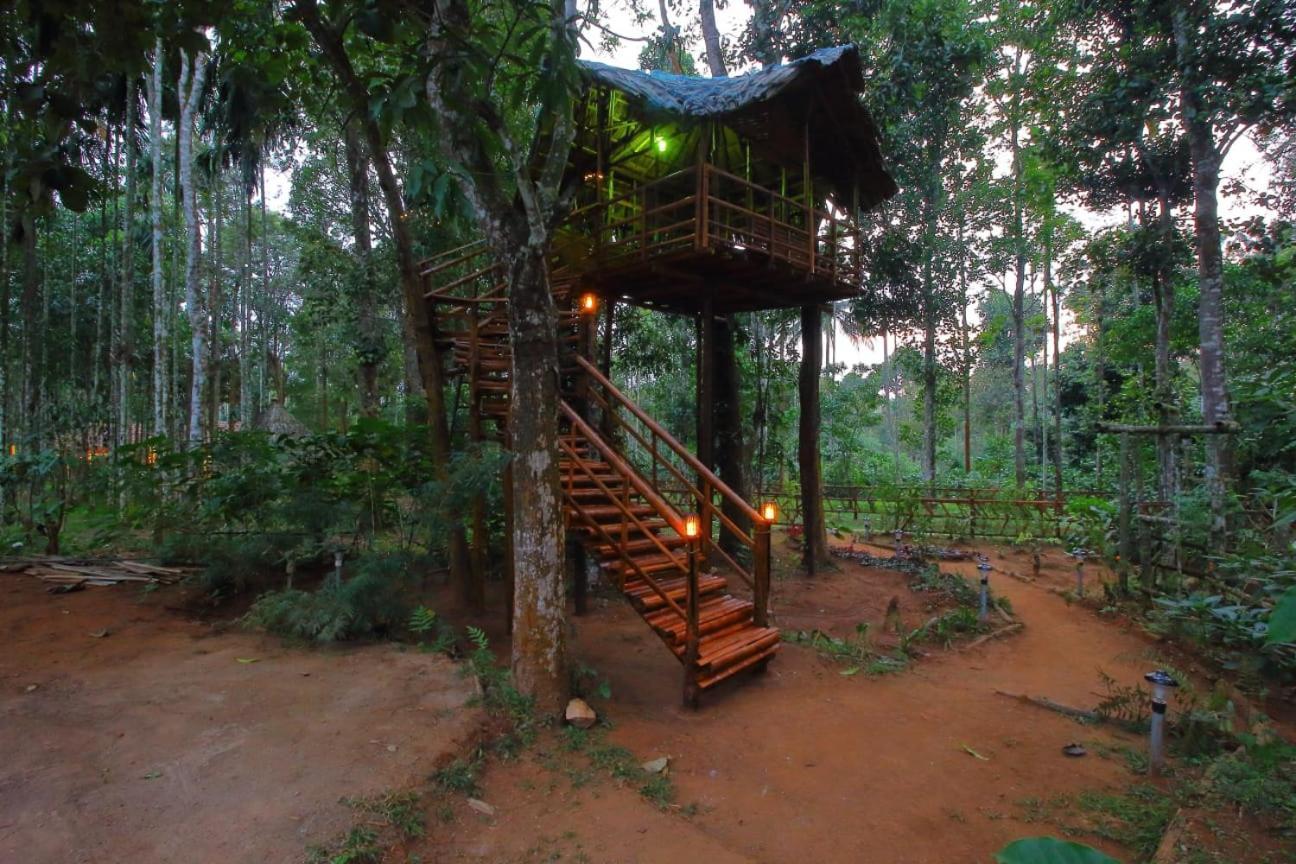Tall Trees - Modern Forest Villa In Wayanad Салтэн-Батери Экстерьер фото