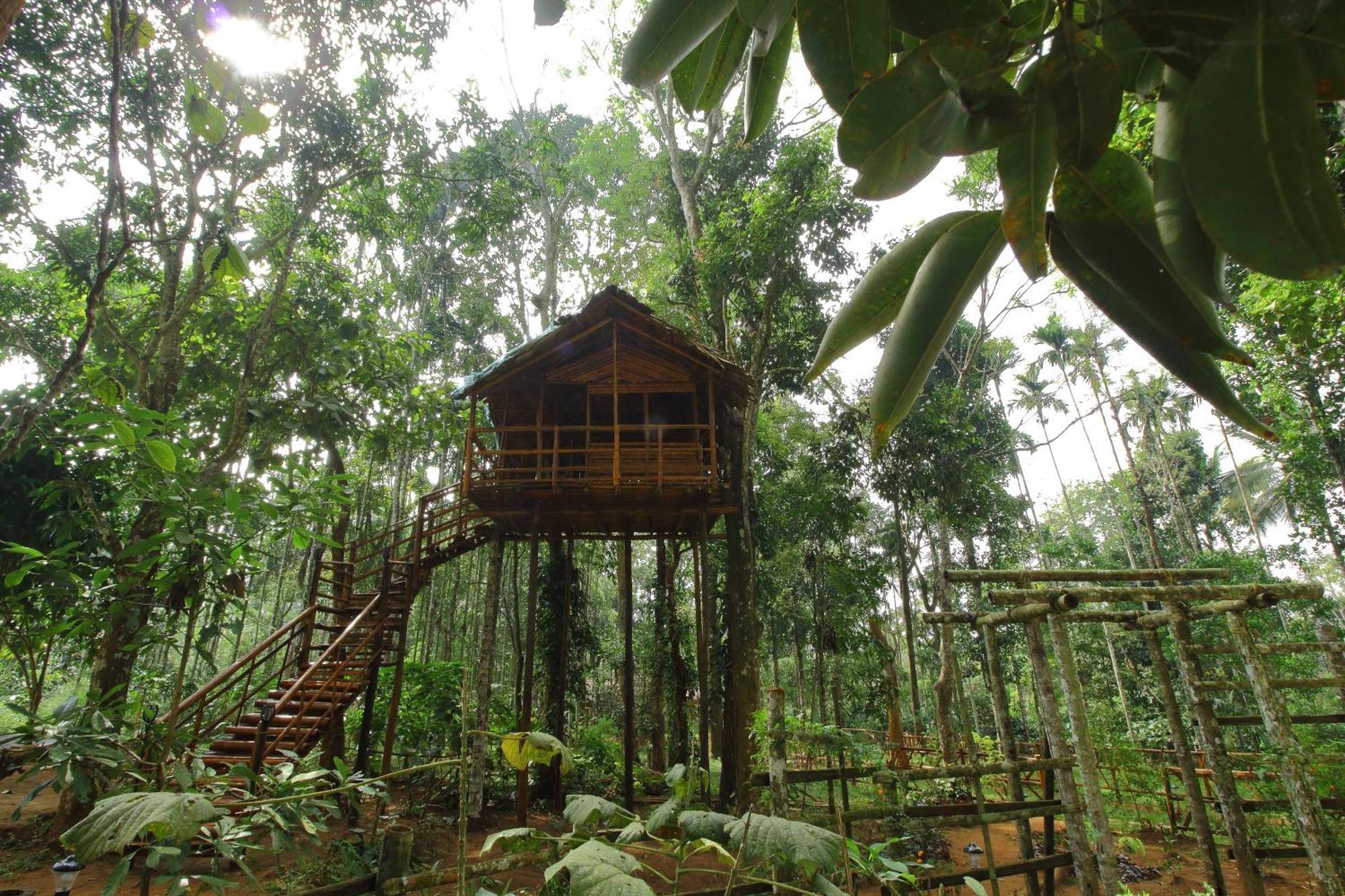 Tall Trees - Modern Forest Villa In Wayanad Салтэн-Батери Экстерьер фото