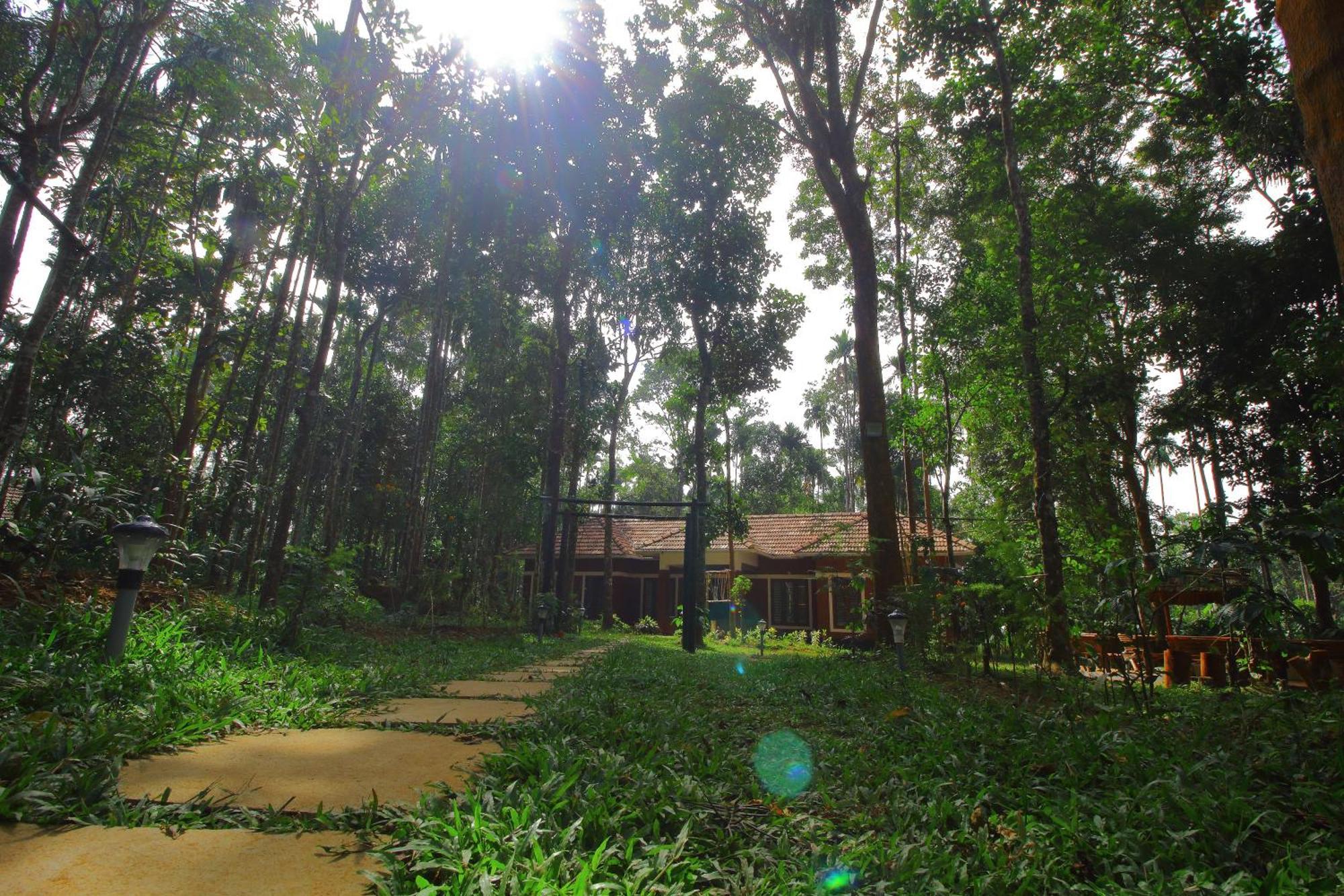 Tall Trees - Modern Forest Villa In Wayanad Салтэн-Батери Экстерьер фото